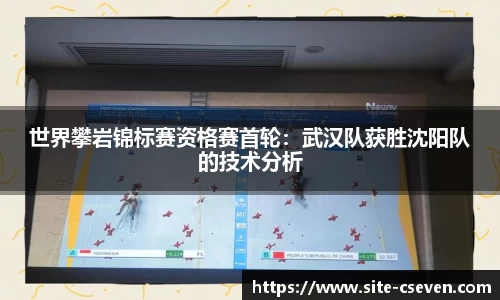 世界攀岩锦标赛资格赛首轮：武汉队获胜沈阳队的技术分析